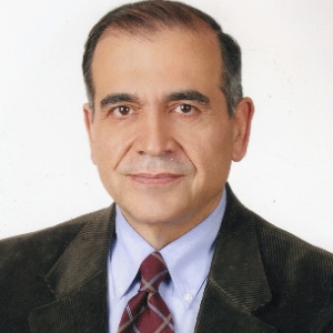 Mustafa Erdik